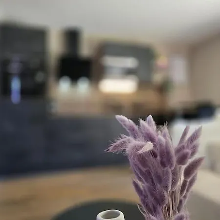 Splendide Standing Piscine Gérardmer