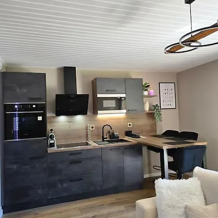 Splendide Standing Piscine Apartment *