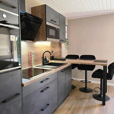 Splendide Standing Piscine Apartment Gerardmer
